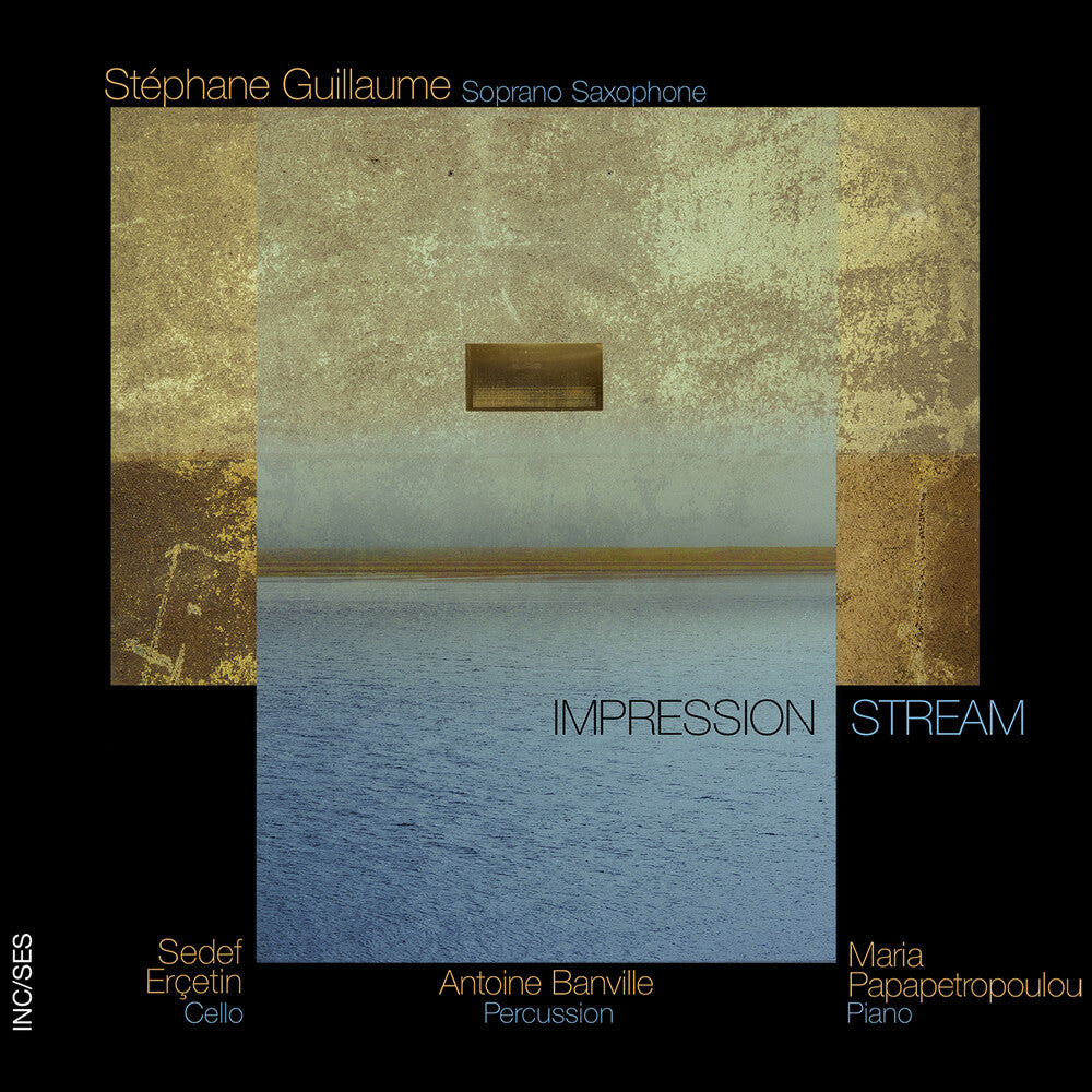 the album cover for Stephane Guillaume  / Ercetin,Sedef - Impression Stream