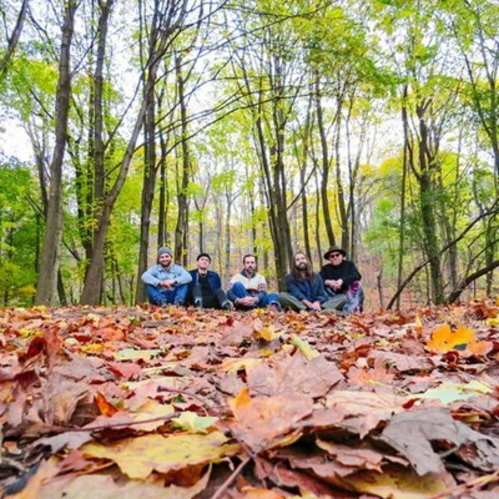 the album cover for Golden Feather - Golden Feather (Can)