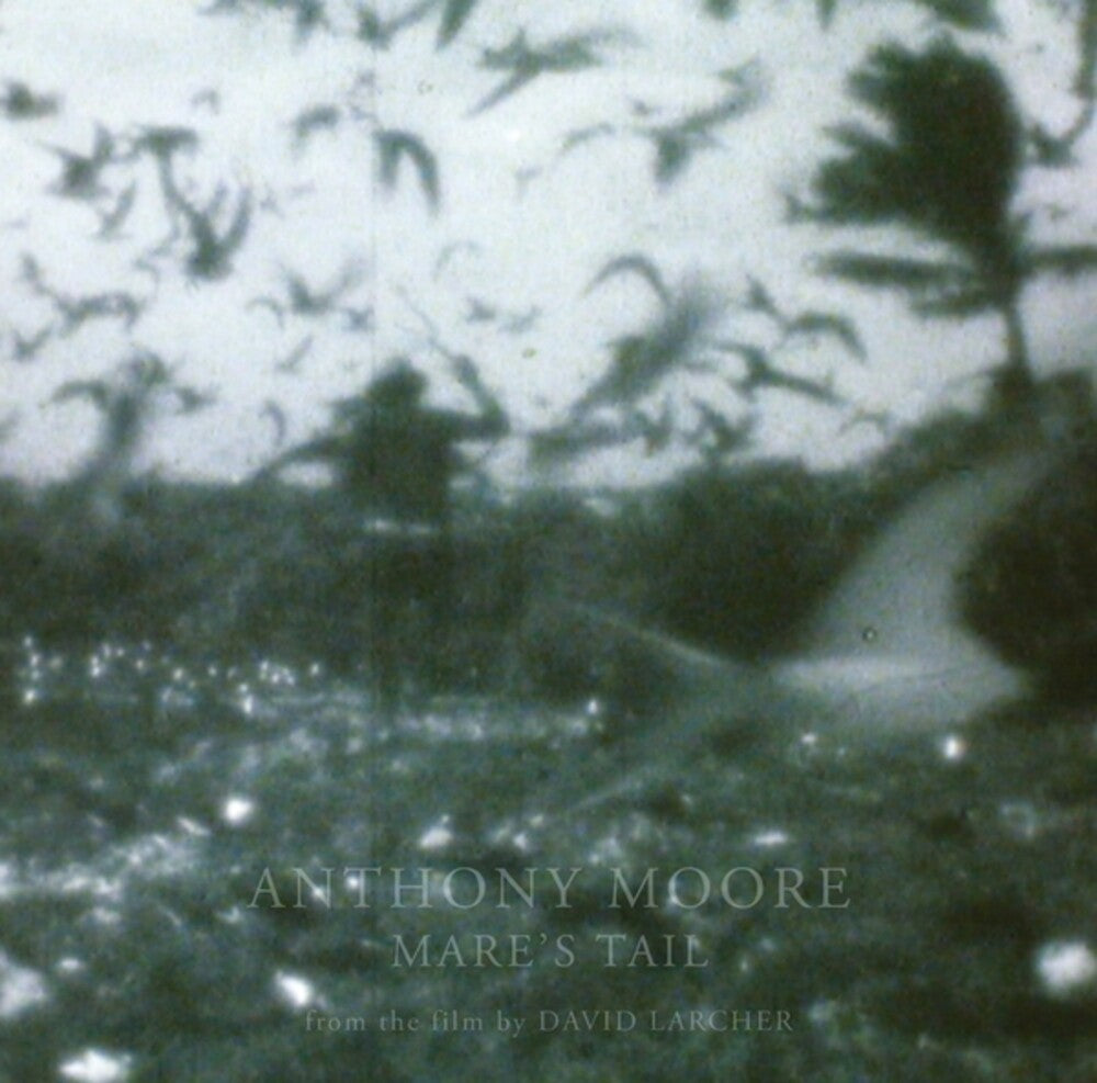 the album cover for Anthony Moore - Mare's Tail