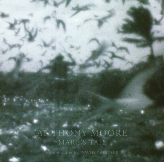 the album cover for Anthony Moore - Mare's Tail