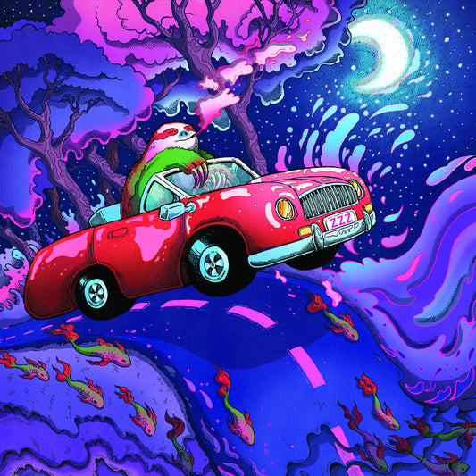 the album cover for Holland Patent Public Library - Songs To Fall Asleep At The Wheel To