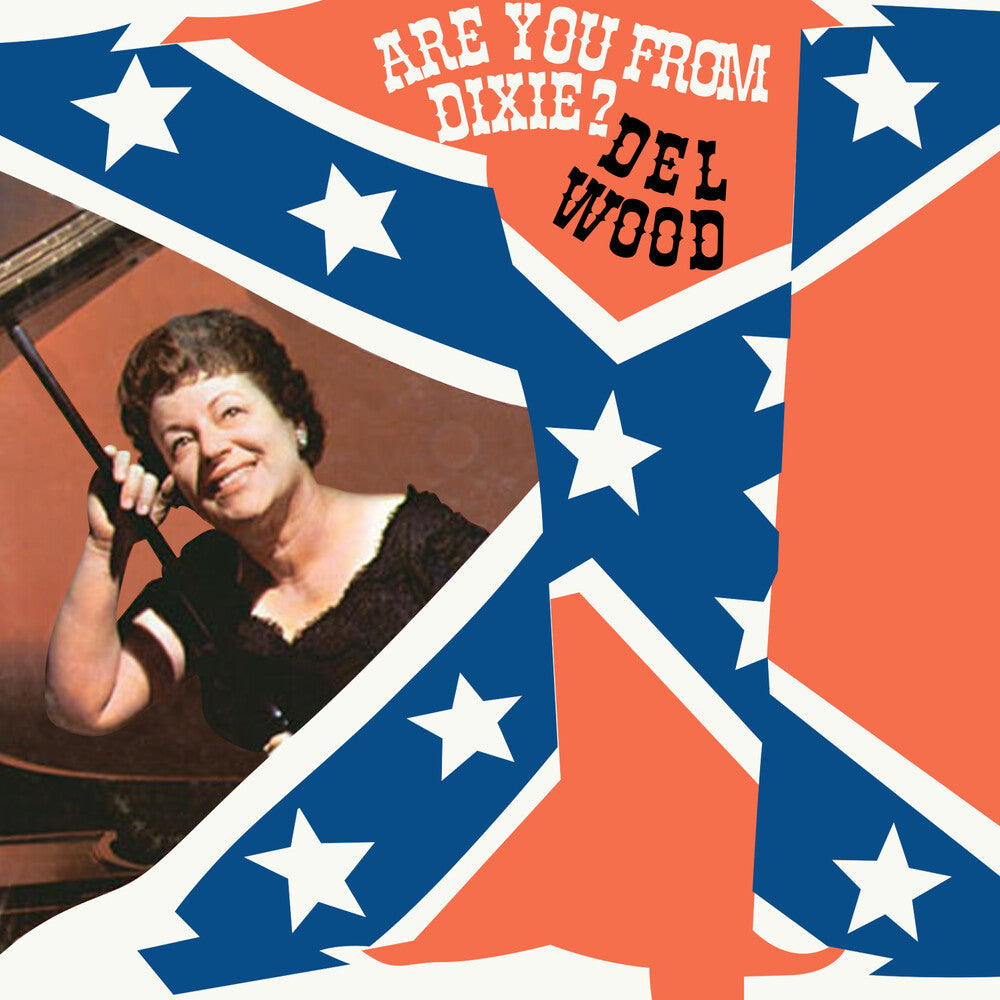the album cover for Del Wood - Are You From Dixie? (Mod)