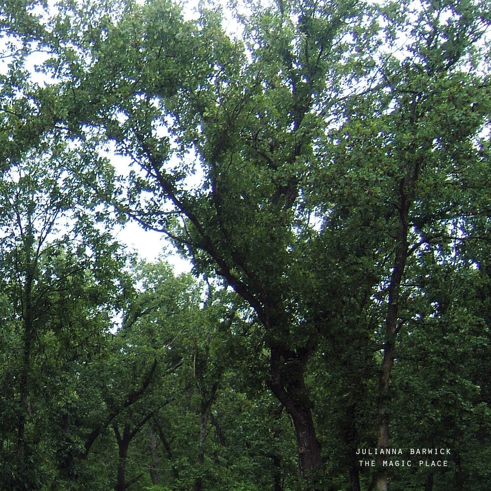 the album cover for Unknown Artist - The Magic Place (2024 Remastered)