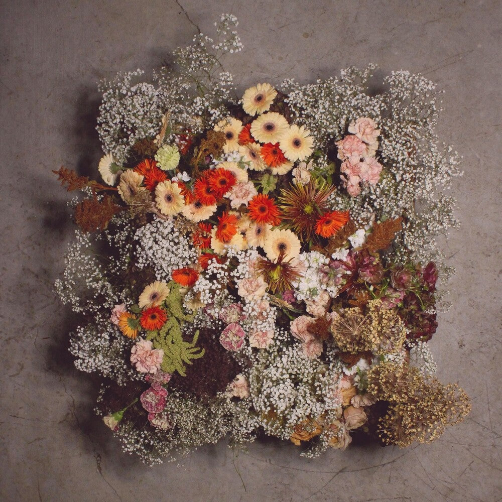 the album cover for We Are The Willows - Iv