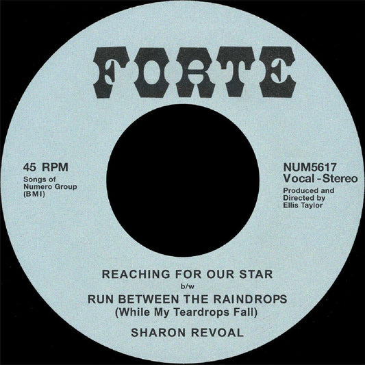 the album cover for Sharon Revoal - Reaching For Our Star B/W Run Between Raindrops