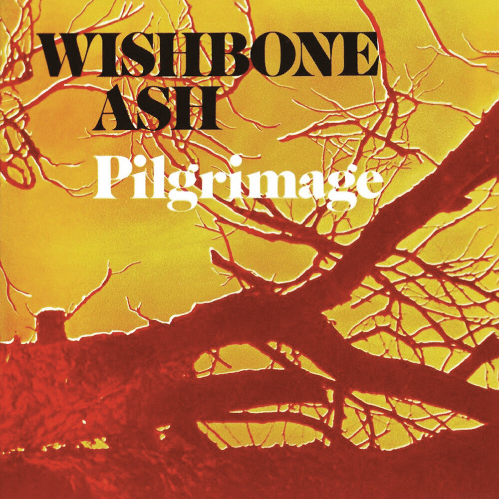 the album cover for Wishbone Ash - Pilgrimage