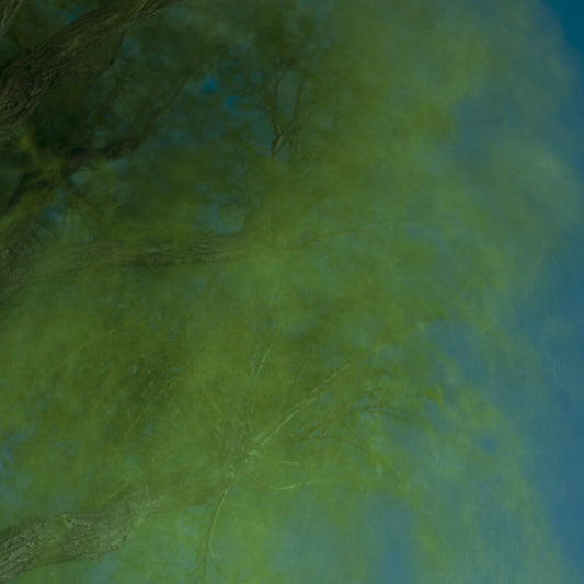 the album cover for Ebina, Hiroshi - Into The Darkness Of The Night