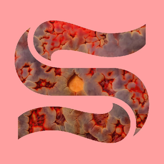 the album cover for Kaitlyn Smith  Aurelia / Goddard,Joe - Neptunes [Download Included]