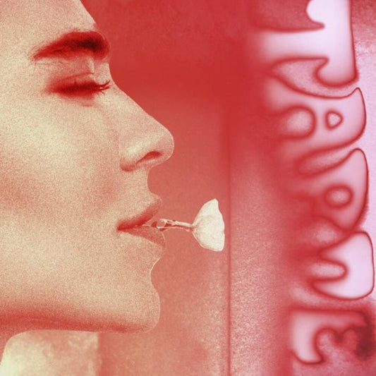 the album cover for Nina Kraviz - Tarde Remixes Pt. 2 [Clear Vinyl] (Red)