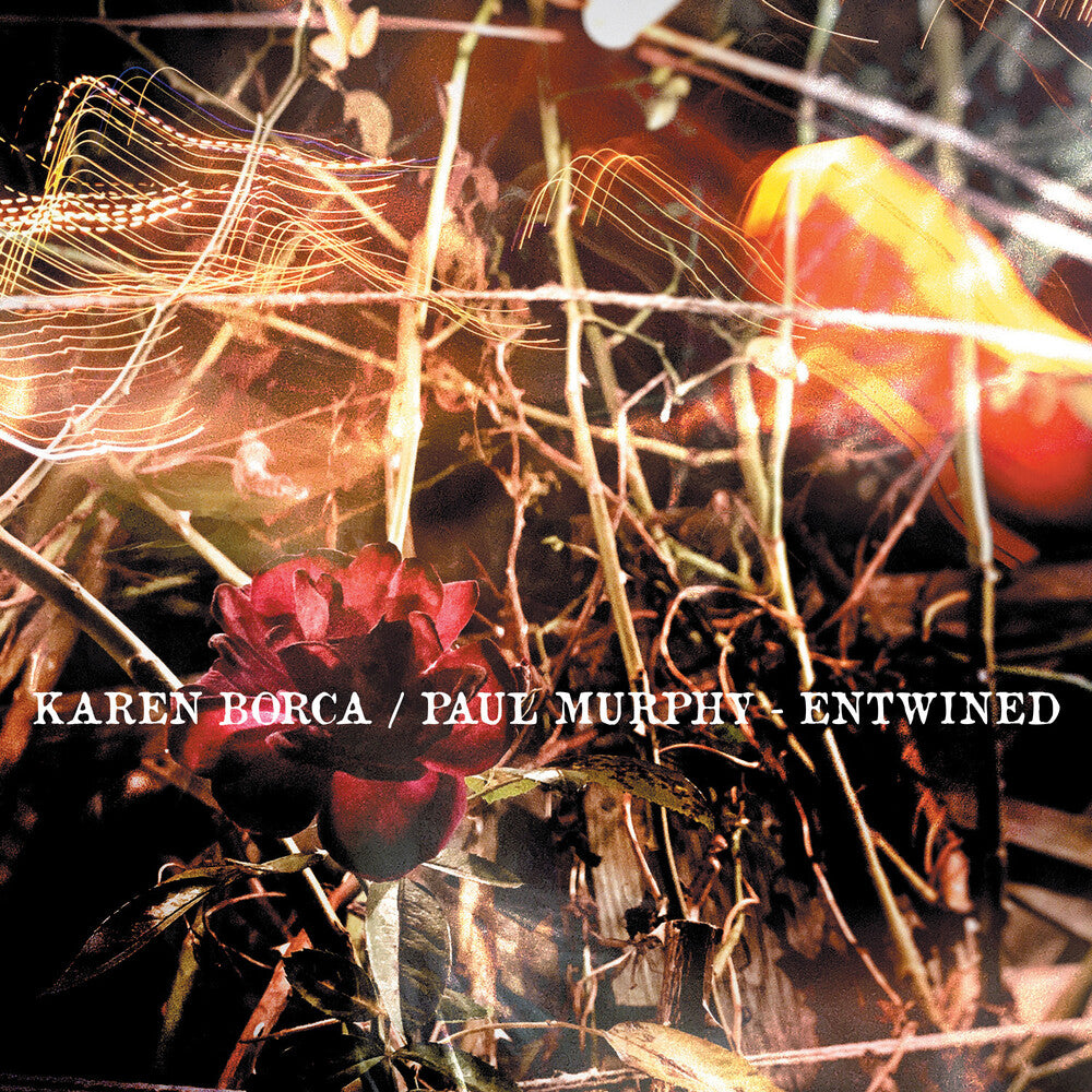 the album cover for Karen Borca - Entwined