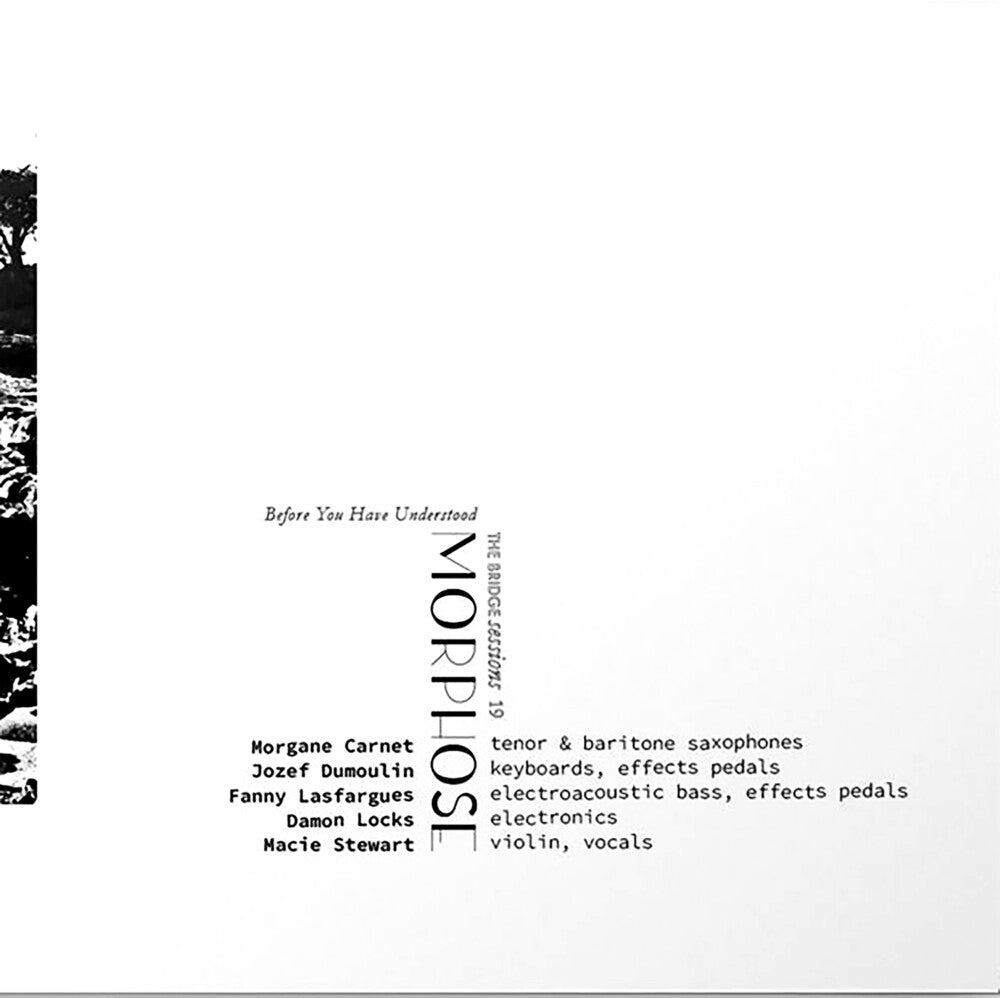 the album cover for Morgane Carnet  / Dumoulin,Jozef / Lasfargues,Fanny - Morphose