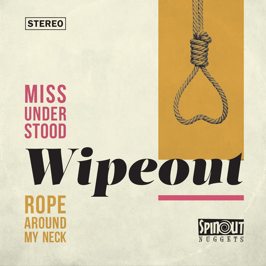 the album cover for Wipeout - Miss Understood