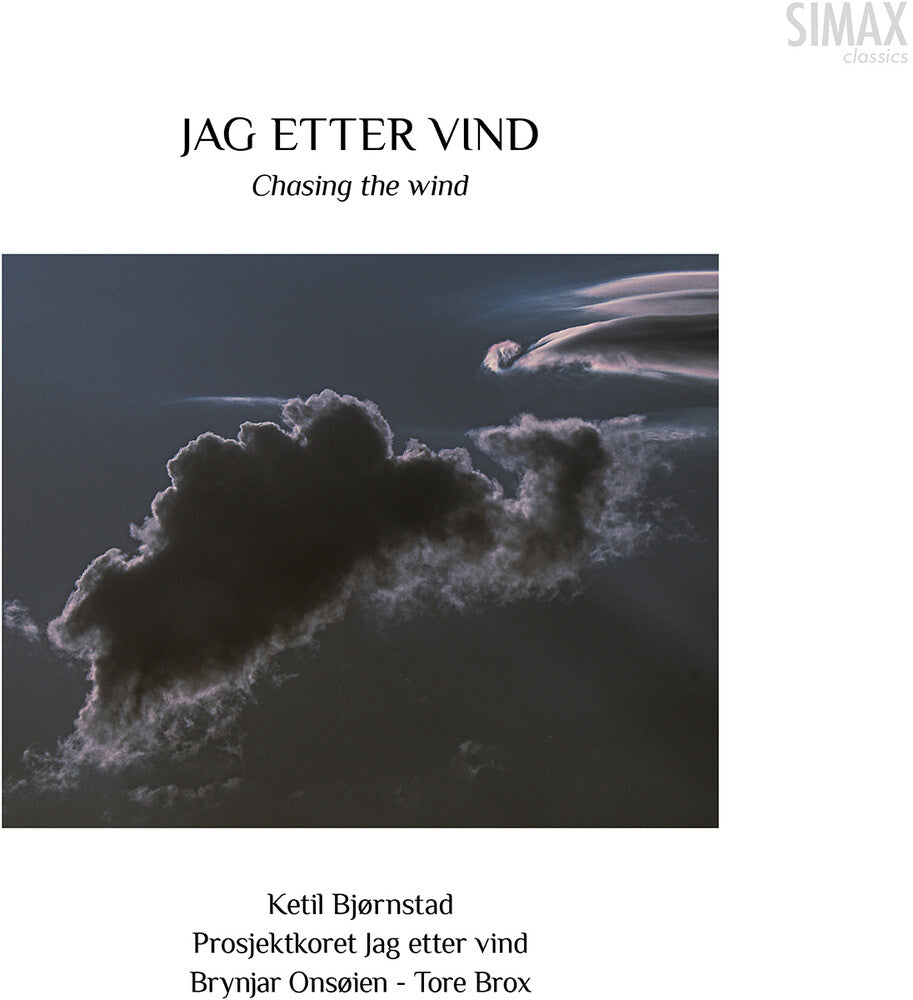 the album cover for Bjornstad / Onsoien / Okland - Bjornstad: Chasing the Wind