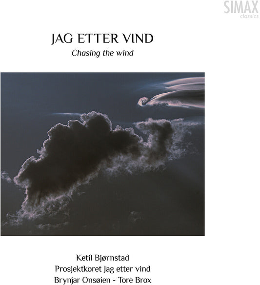 the album cover for Bjornstad / Onsoien / Okland - Bjornstad: Chasing the Wind