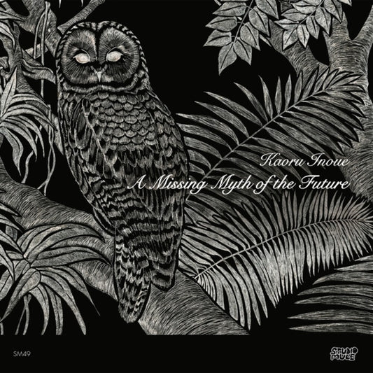 the album cover for Inoue, Kaoru - A Missing Myth Of The Future