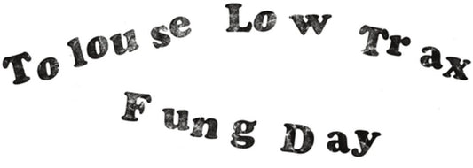 the album cover for Tolouse Low Trax - Fung Day
