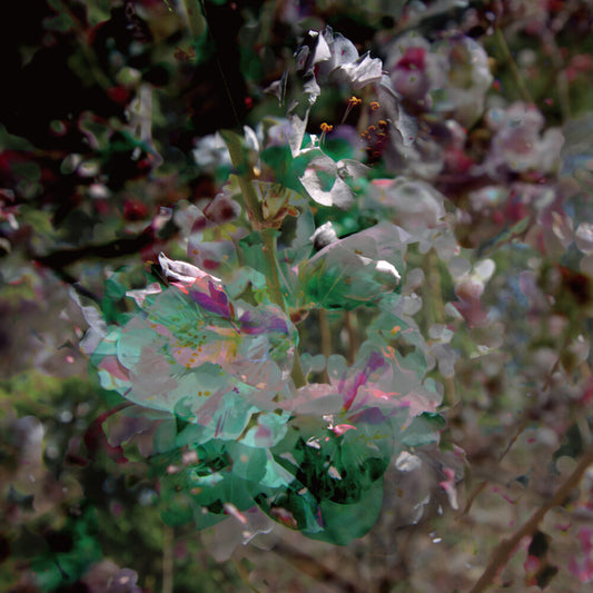 the album cover for Kafka's Ibiki - Shiminkai