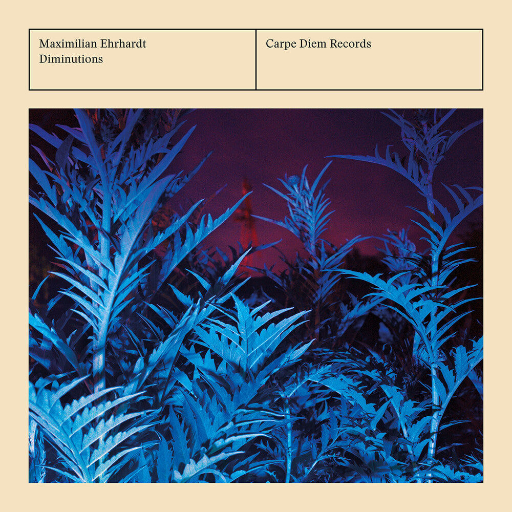 the album cover for Coelho / Frescobaldi / Ehrhardt - Diminutions