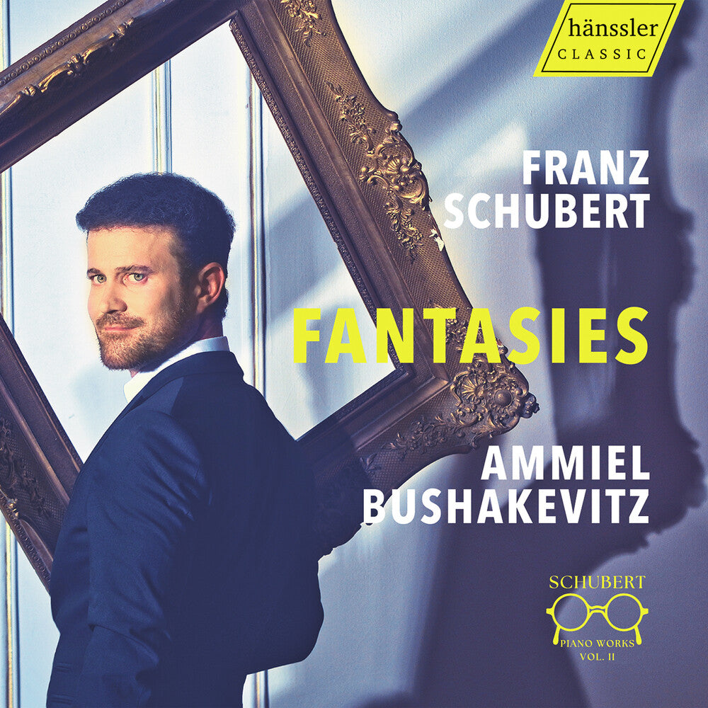 the album cover for Schubert / Bushakevitz - Piano Works Vol. 2 - Fantasies