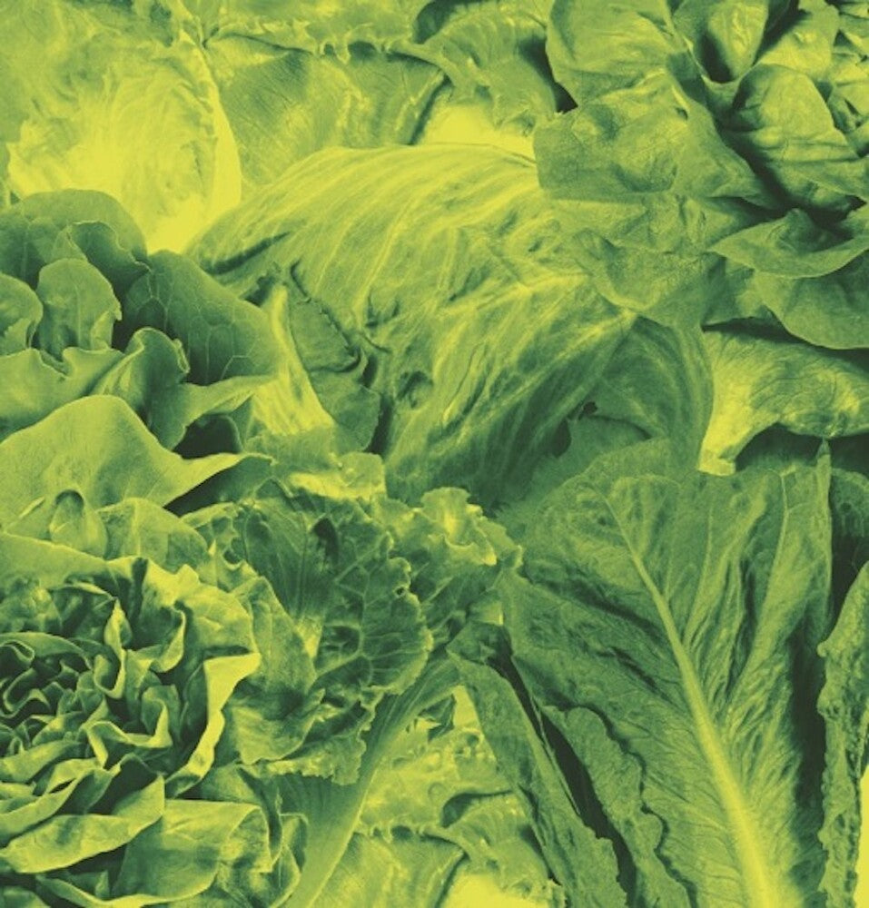 the album cover for Lettuce - Monorail 3000 b/w Star Children [7inch Single]