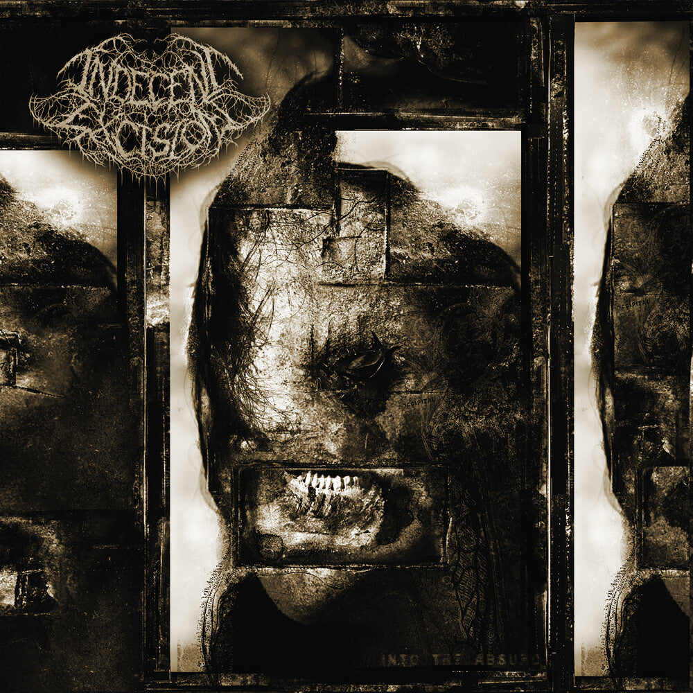 the album cover for Indecent Excision - Into The Absurd