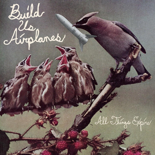 the album cover for Build Us Airplanes - All Things Expire