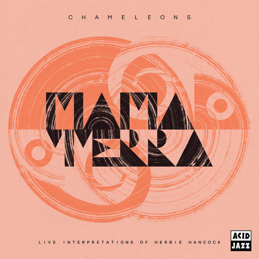 the album cover for Mama Terra - Chameleons (Live Interpretations Of Herbie Hancock