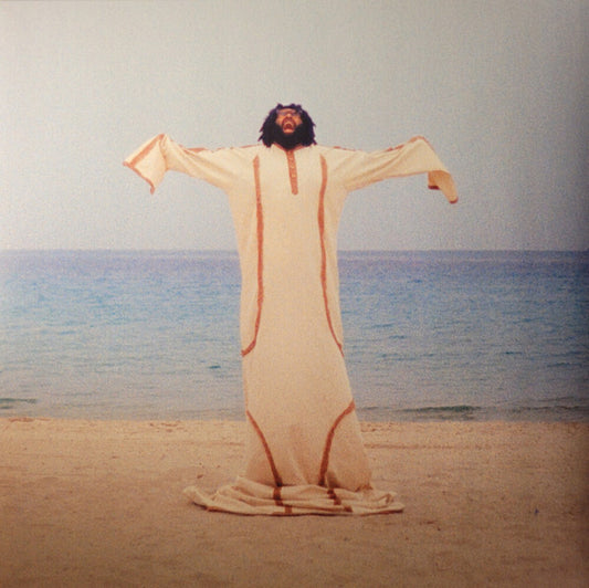 the album cover for Elmiene - Anyway I Can [Colored Vinyl] [Limited Edition] (Tan) (Uk)