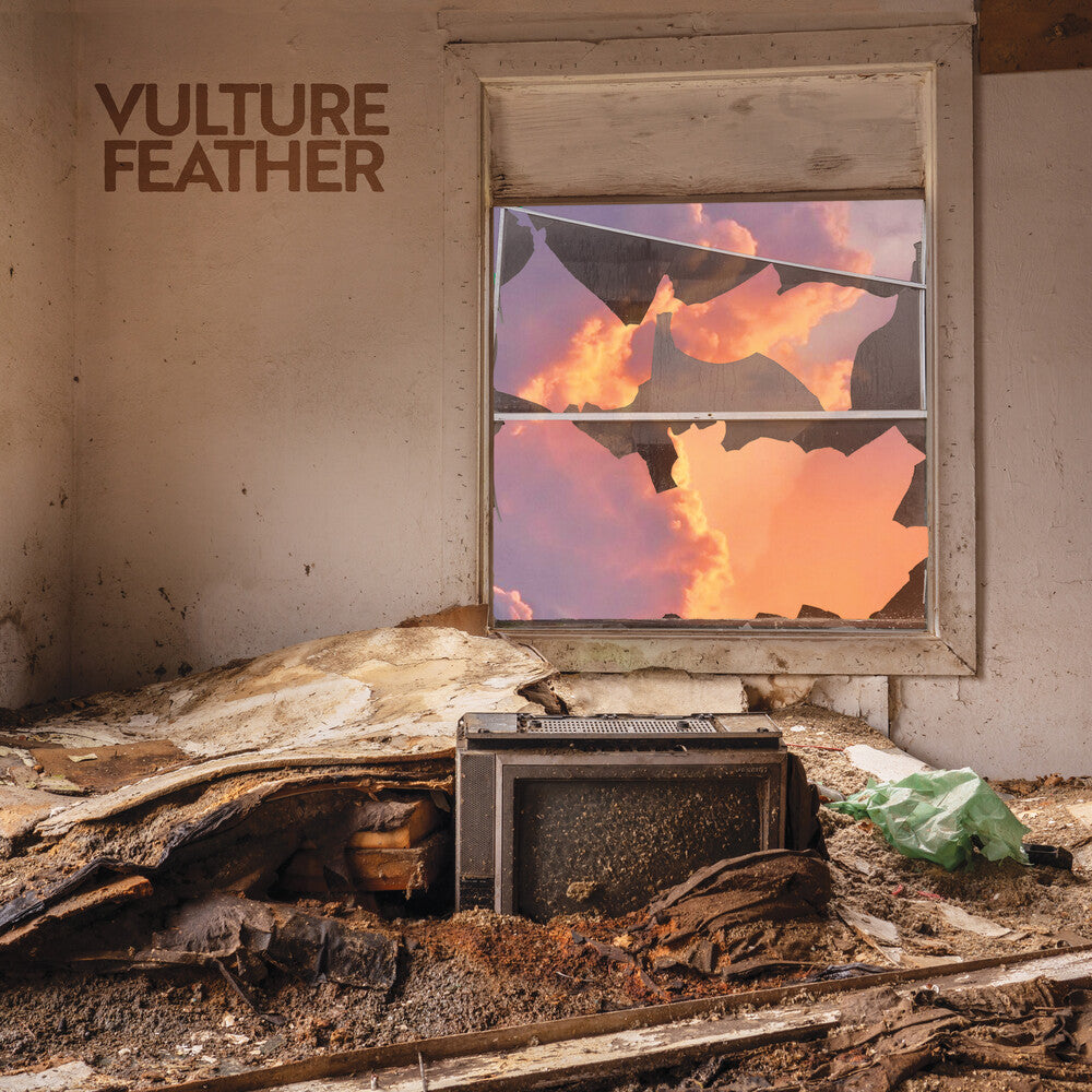 the album cover for Vulture Feather - It Will Be Like Now [Rose Vinyl LP]