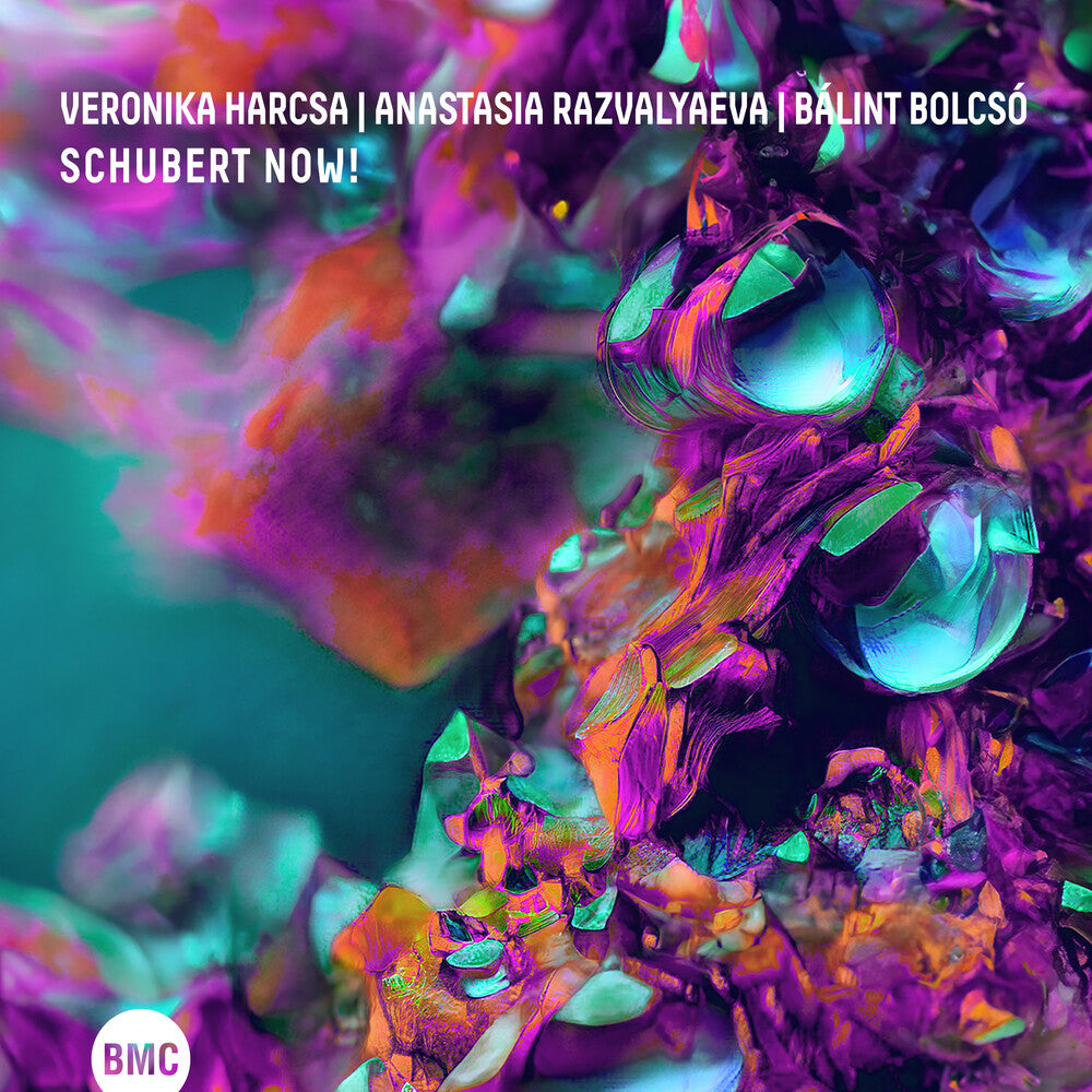 the album cover for Veronika Harcsa  / Razvalyaeva,Anastasia - Schubert Now