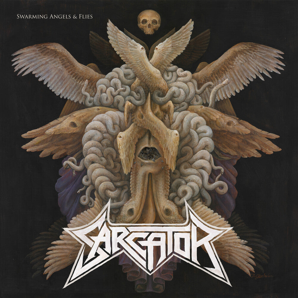 the album cover for Sarcator - Swarming Angels & Flies [LPl]