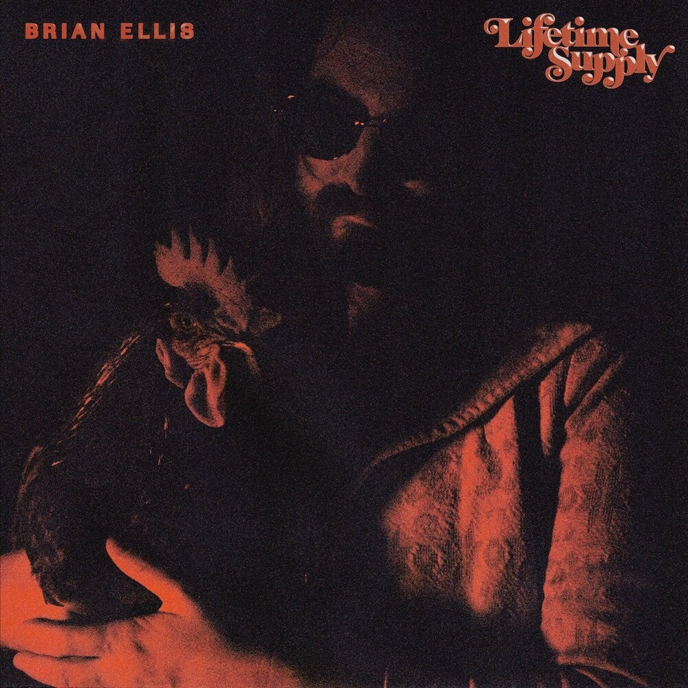 the album cover for Brian Ellis - Lifetime Supply