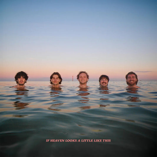 the album cover for Delights - If Heaven Looks A Little Like This [Colored Vinyl] (Org)