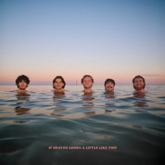 the album cover for Delights - If Heaven Looks A Little Like This [Digipak] (Uk)