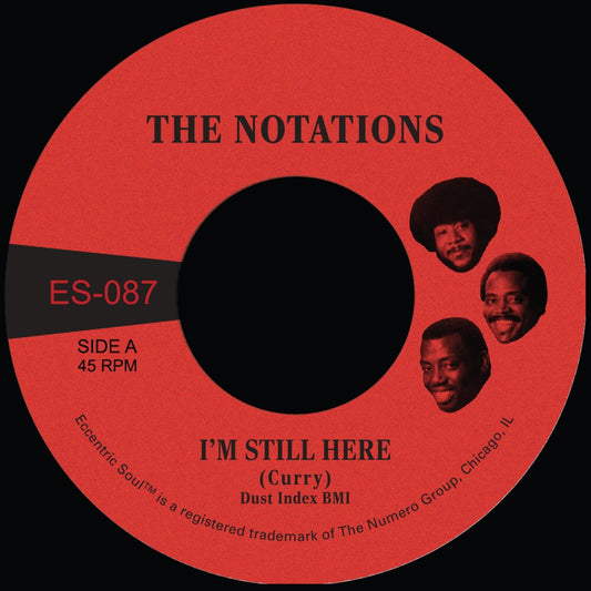 Notations - I'm Still Here B/W What More Can I Say [LP]
