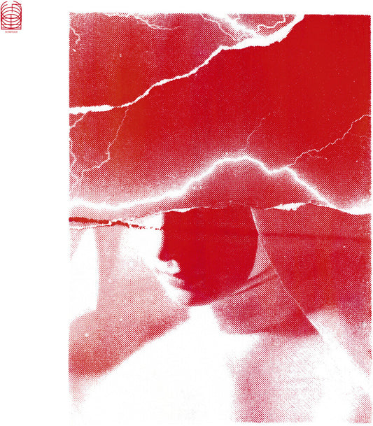 the album cover for Golem Mecanique - Siamo Tutti In Pericolo