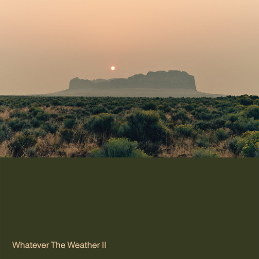 the album cover for Whatever The Weather - Whatever The Weather Ii [Dark Green Vinyl LP]