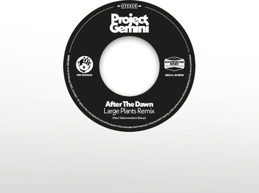 the album cover for Project Gemini - After The Dawn - Large Plants Remix / Darkness