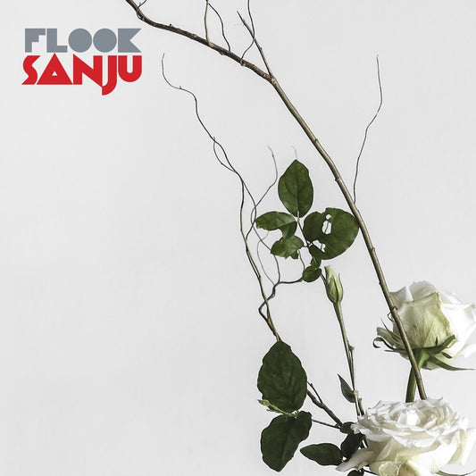 Flook - Sanju (Uk) [LP]