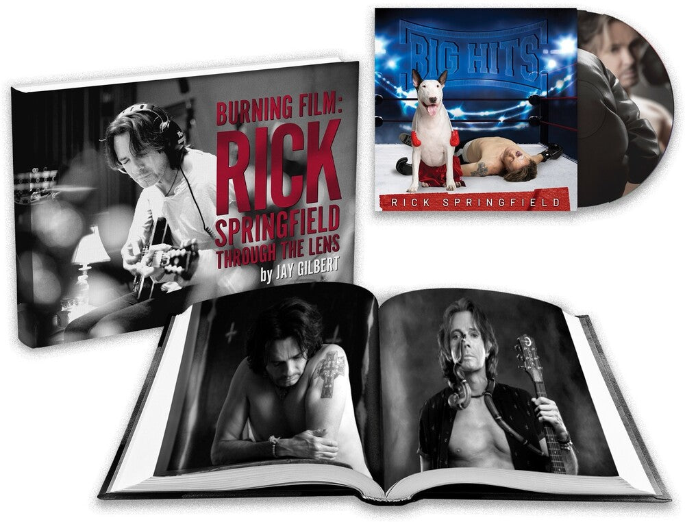 Rick Springfield - Big Hits: Rick Springfield's Greatest Hits Vol. 2 [CD]