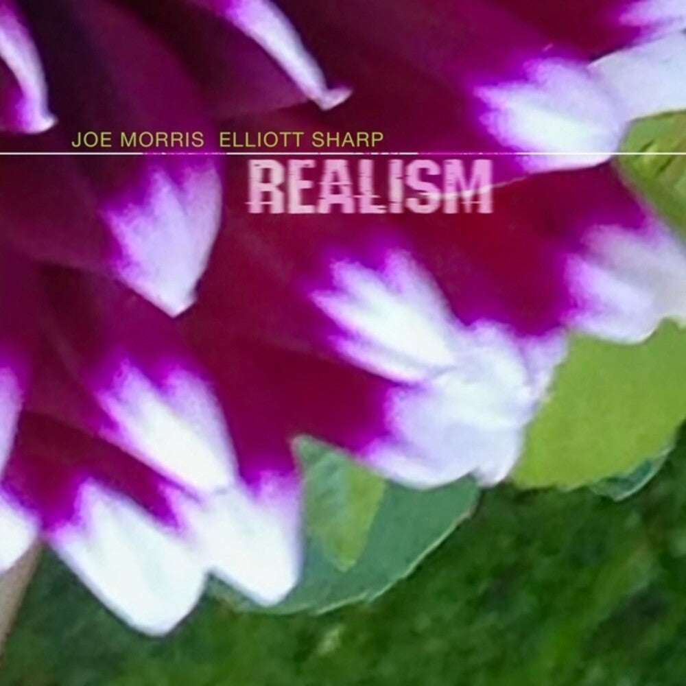 Joe Morris  / Sharp,Elliott - Realism [CD]