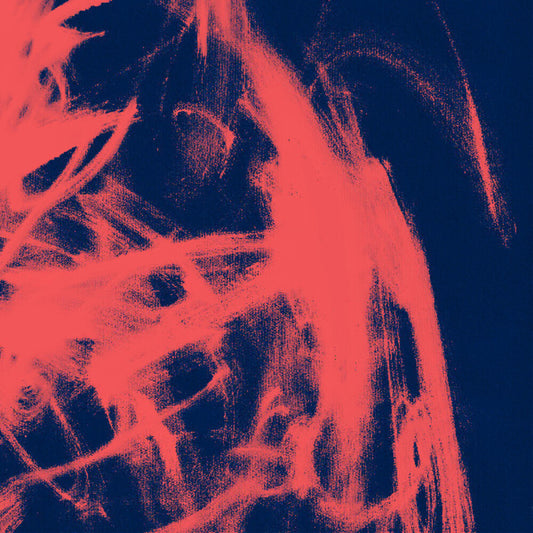 Rival Consoles - Landscape From Memory [Download Included]