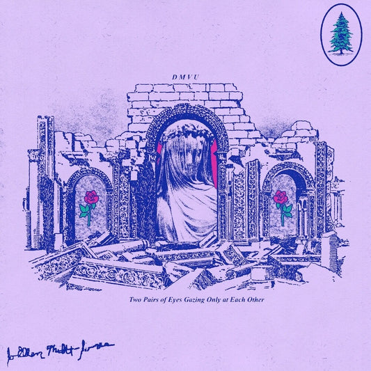 DMVU - Two Pairs of Eyes, Gazing Only at Each Other [LP]