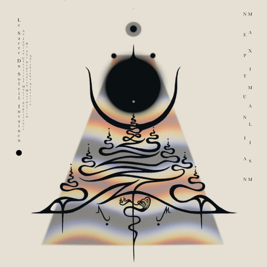 Pre-Order: Neptunian Maximalism - Le Sacre Du Soleil Invaincu