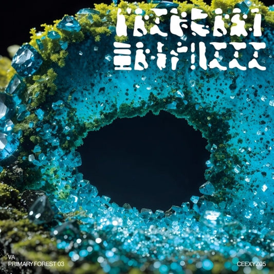 Primary Forest 03 / Various - Primary Forest 03 / Various [LP]