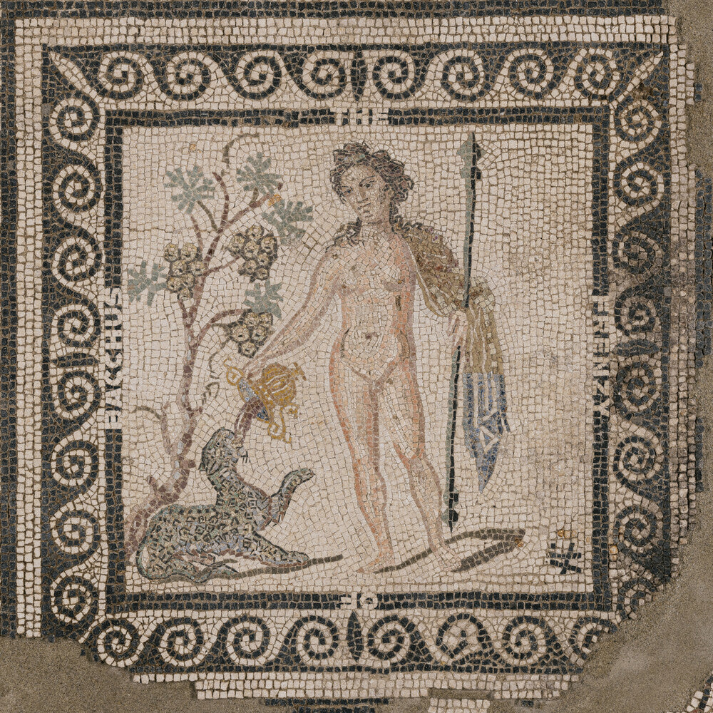 ASM - Frenzy Of Bacchus [CD]