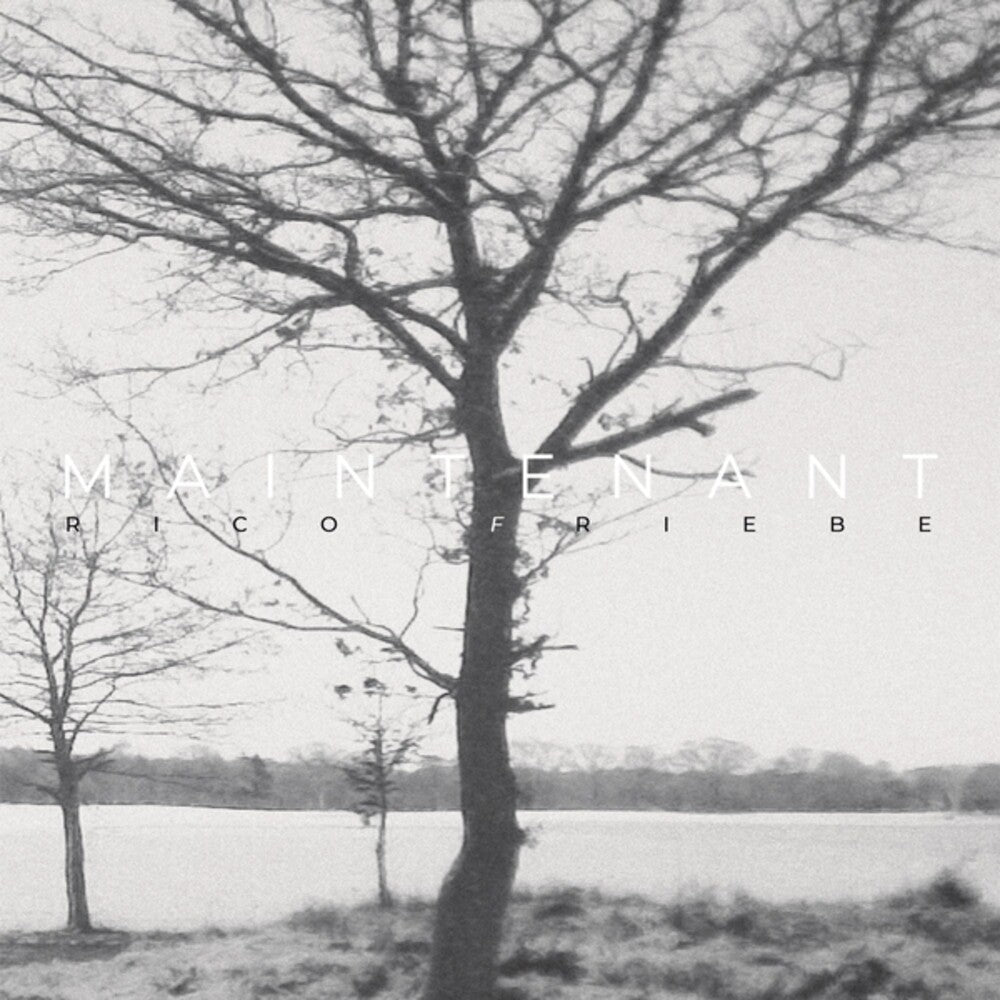 Rico Friebe - Maintenant [Limited Edition] [Digipak] (Aus)