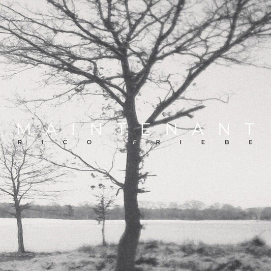 Rico Friebe - Maintenant [Limited Edition] [Digipak] (Aus)