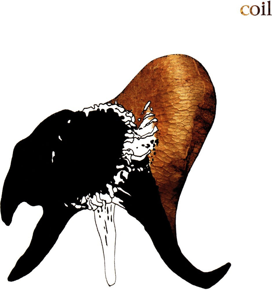 the album cover for Coil - Black Antlers