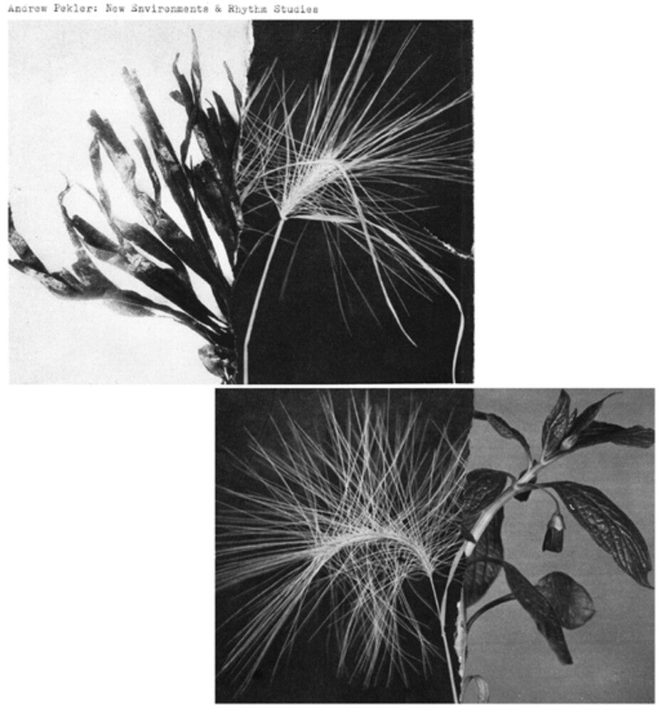 Pekler, Andrew - New Environments And Rhythm Studies [LP]